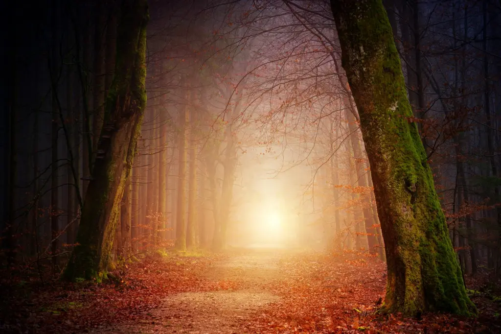 Le questionnement.
Naviguer dans votre questionnement sur le chemin de la vie, les choix dévoilent des chemins vers l'extraordinaire, exigeant créativité, curiosité et courage pour un voyage vraiment épanouissant.